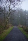 Xmas walk 016 -