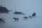 Dogsled -